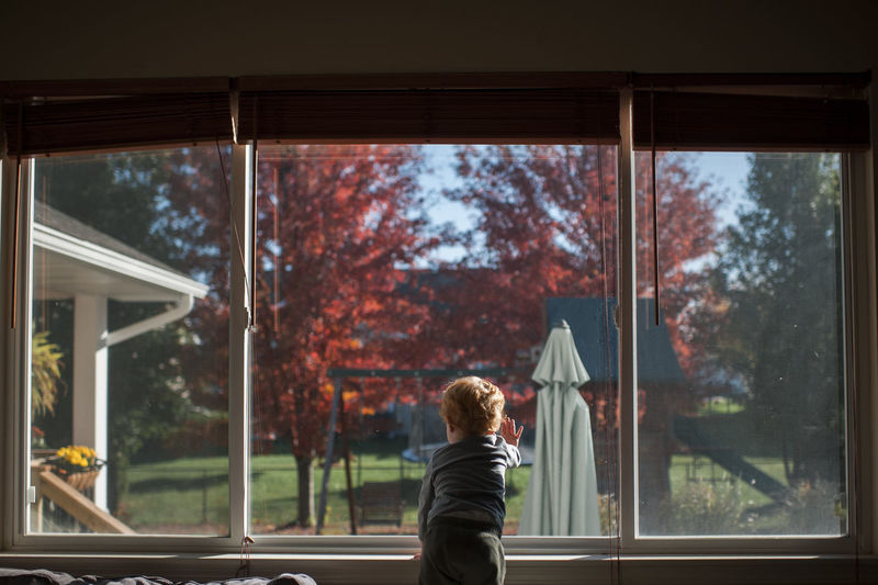 Toddler boy stares out window into the backyard on a fall day