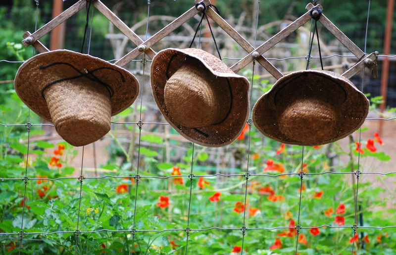 Hats hanging on fence in yard