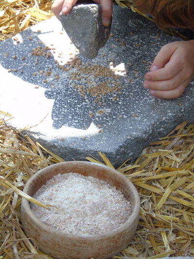 Cropped image of woman crushing wheat on stone