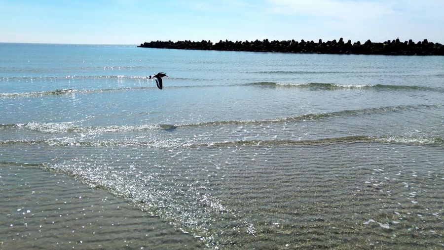 Silhouette man on beach against sky