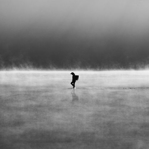 Silhouette woman standing in the water amongst the mist