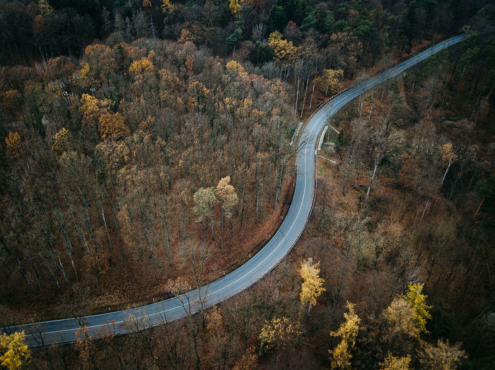 High angle view of road amidst trees during autumn