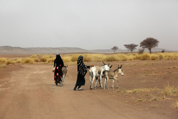Full length of women with donkeys