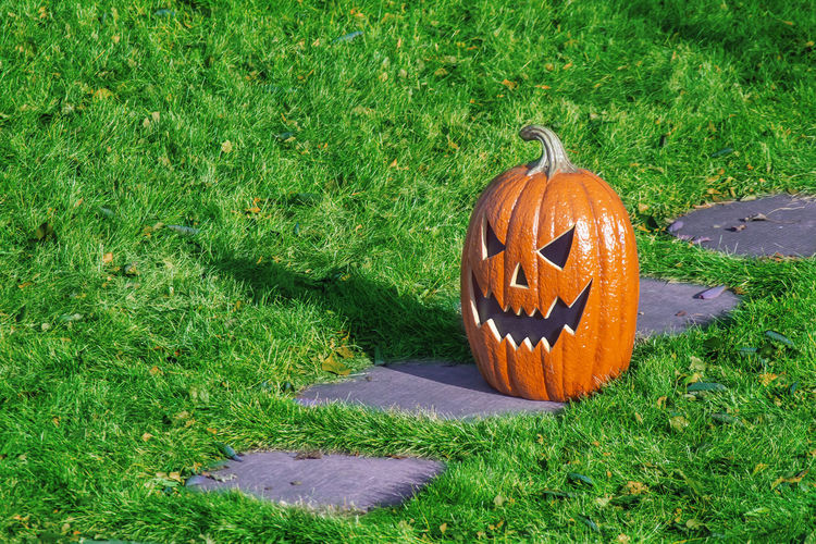 High angle view of pumpkin on grass during halloween