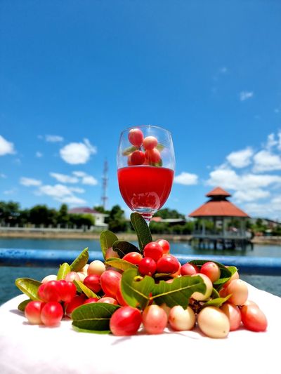 Close-up of fresh fruits against swimming pool against sky