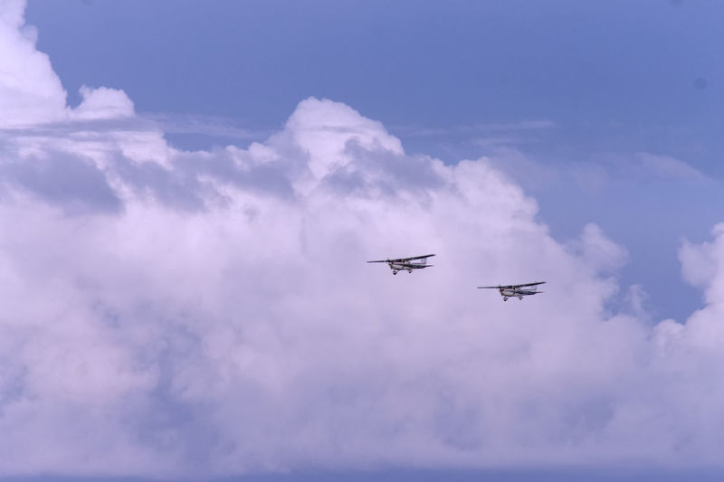 Low angle view of airplane flying in sky
