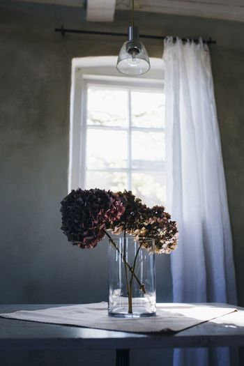 Flowers in vase on table at home