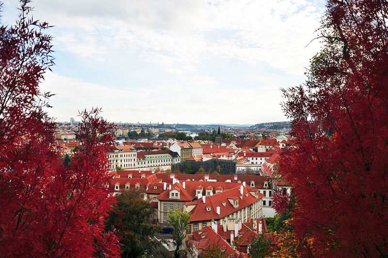 Buildings with trees in background