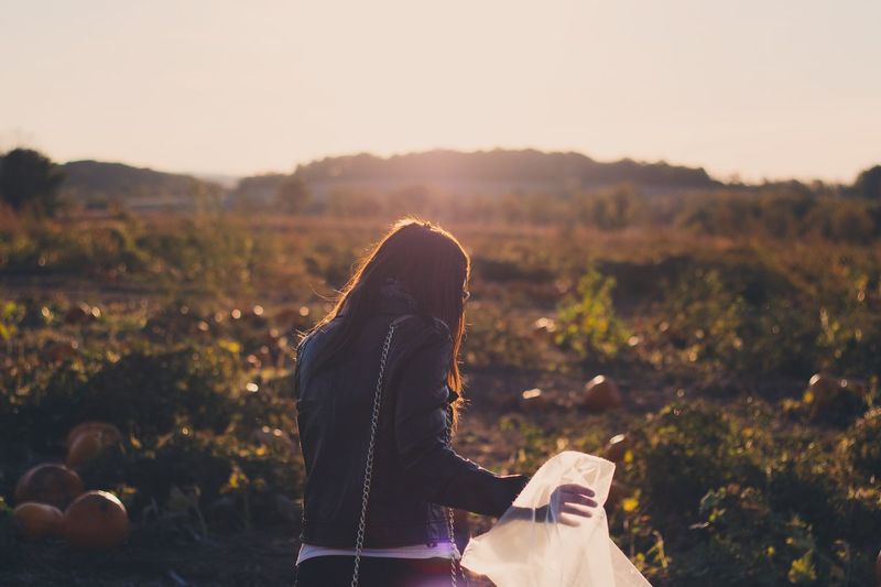 Rear view of woman holding plastic bag while standing on pumpkin field 