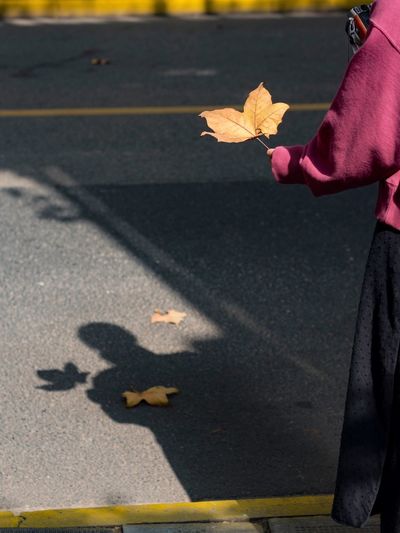 Shadow of person falling on dry leaves on road