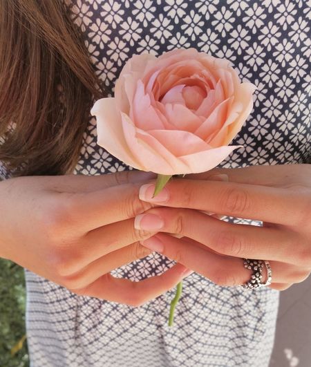 Midsection of woman holding rose