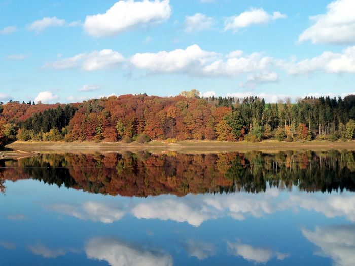 Reflection of trees in calm lake against sky