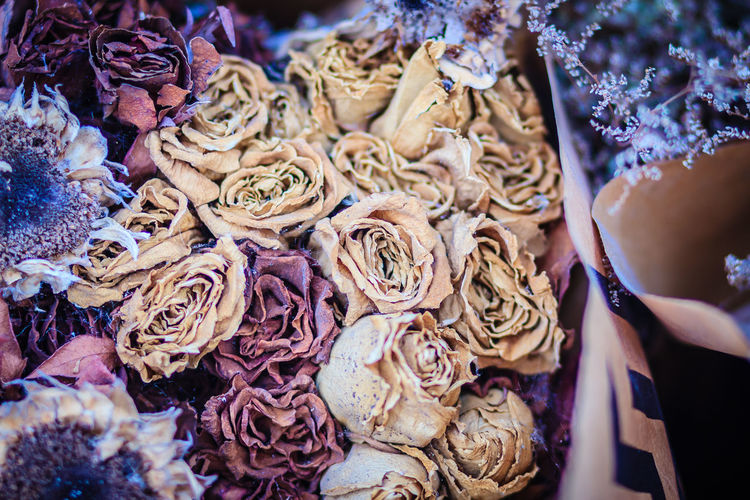 High angle view of dry roses in shop
