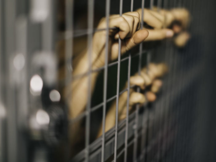 Cropped image of hands gripping prison bars