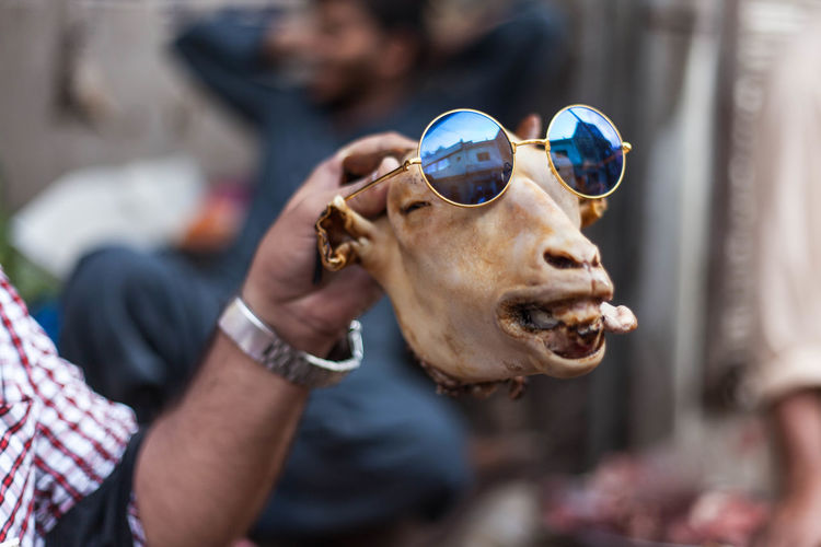 Cropped hand of young man holding sunglasses on animal skull
