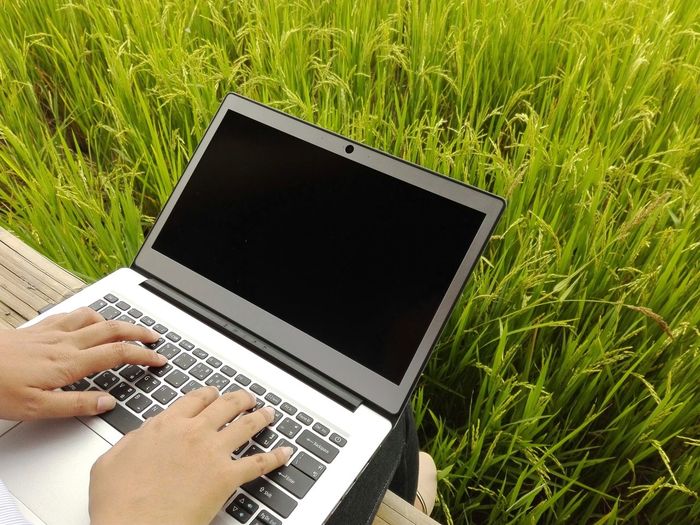 Cropped hands of woman using laptop by crops on field