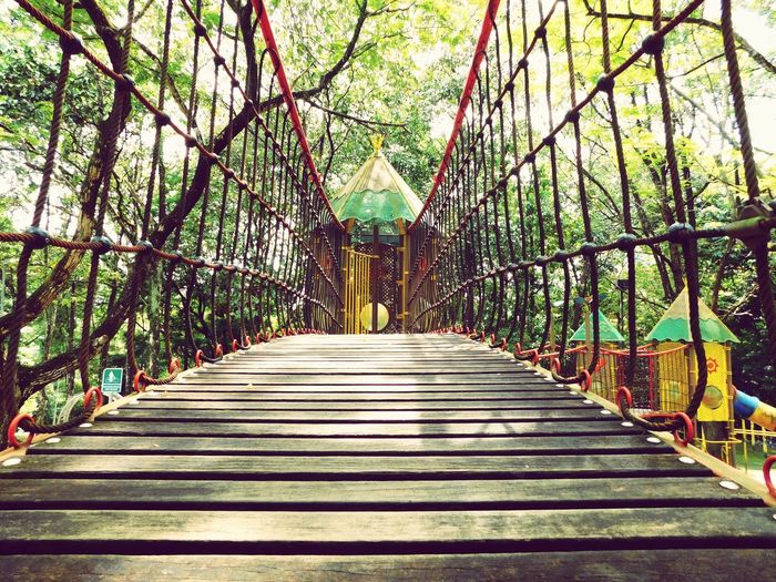 View of bridge in forest