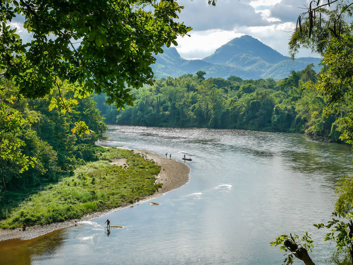 Scenic view of river amidst trees against sky