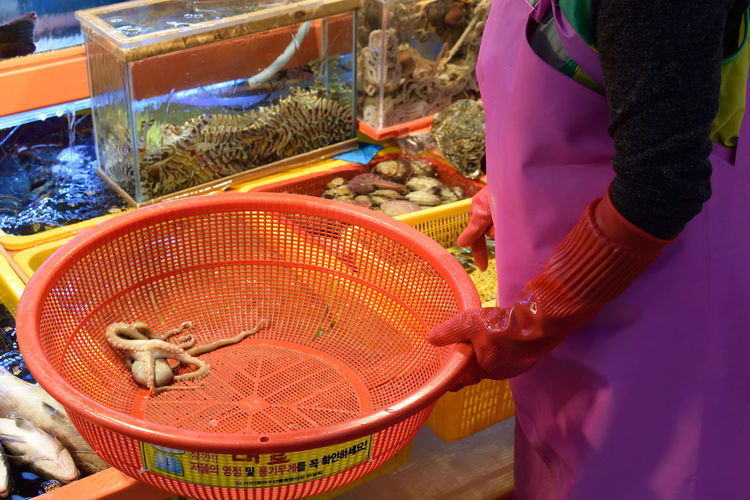 High angle view of hand holding fish
