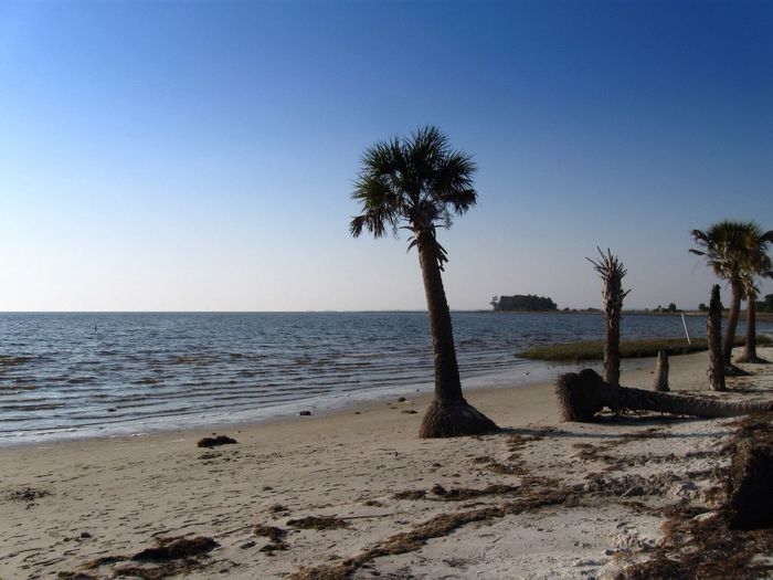 Scenic view of sea against clear sky