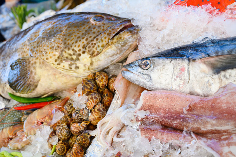 Close-up of fish for sale in market