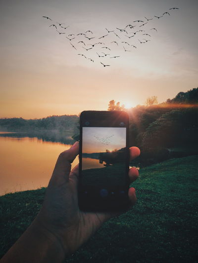 Cropped image of hand holding birds flying over landscape against sunset sky