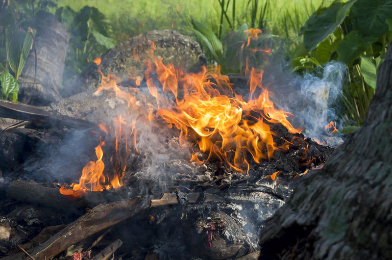 Close-up of fire burning on land