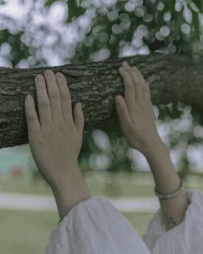 Close-up of human hand against trees