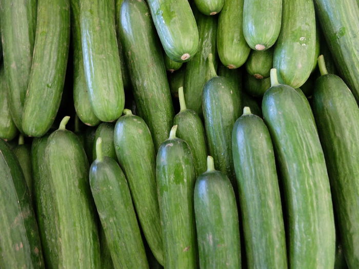 Full frame shot of zucchini