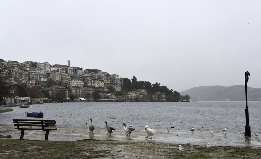 Kastoria and kastoria lake, orestiada, on a rainy day