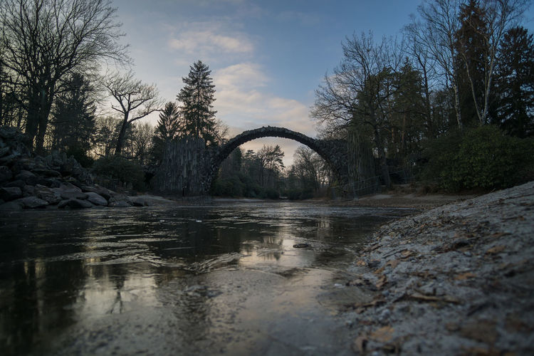 River passing through forest