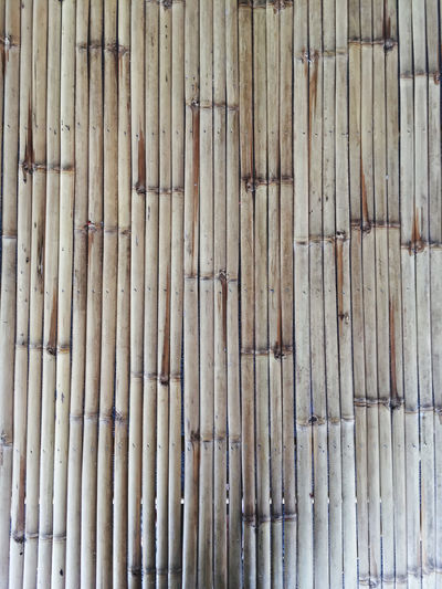 Full frame shot of bamboo