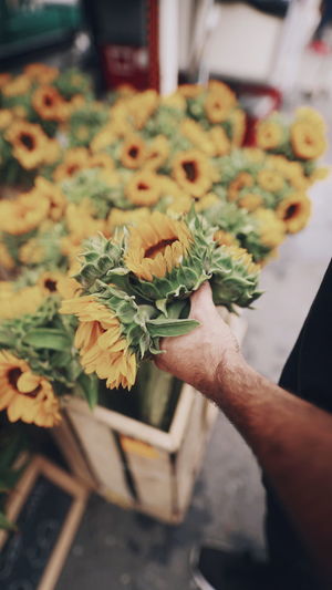 Cropped hand holding yellow flowers in basket at shop