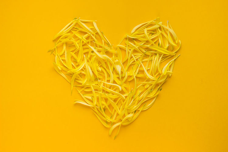 Directly above shot of christmas decorations on yellow background