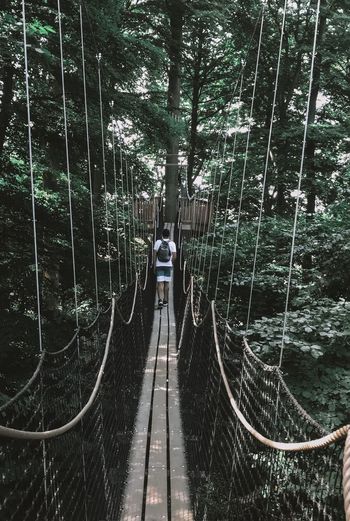 Rear view of people on footbridge in forest