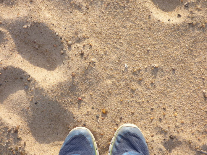 Directly above shot of shoes on sand at beach