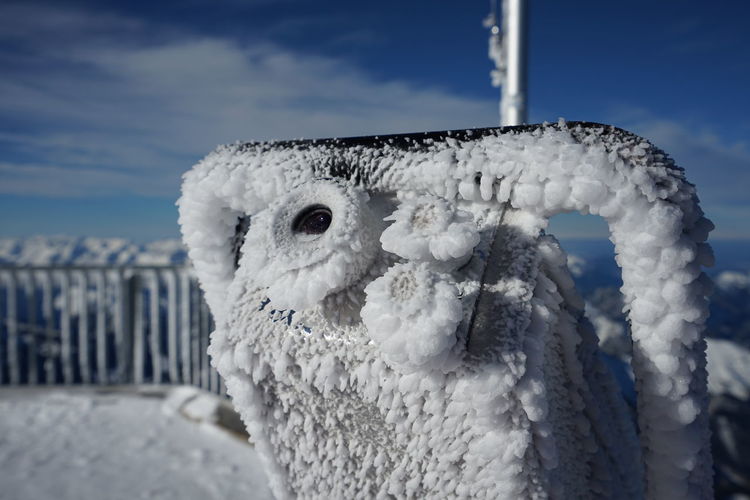 Close-up of white owl against sky
