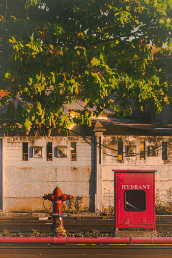 Red fire hydrant under golden hour