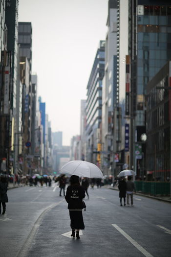 Rear view of people under umbrellas walking on street in city