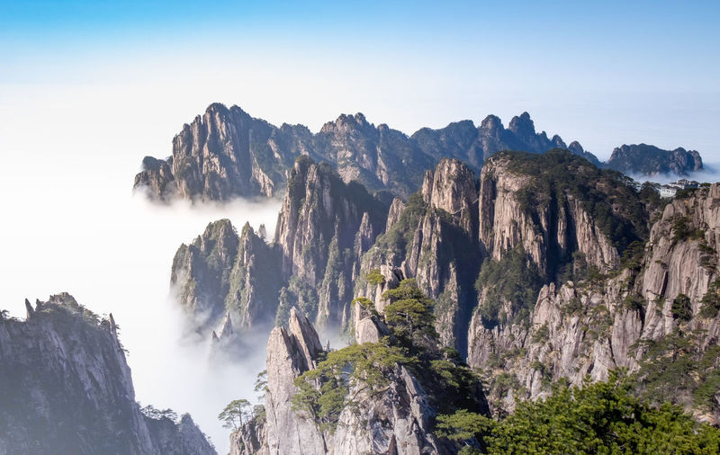 View of the clouds and the pine tree at the mountain peaks of huangshan national park, china. 
