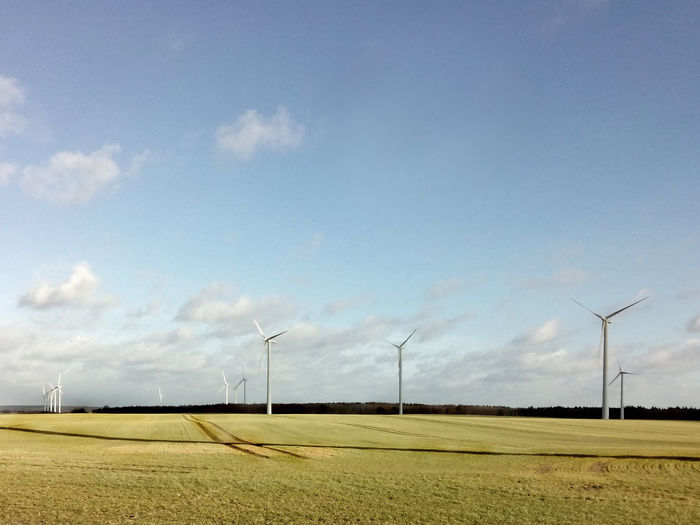 Wind turbines on field