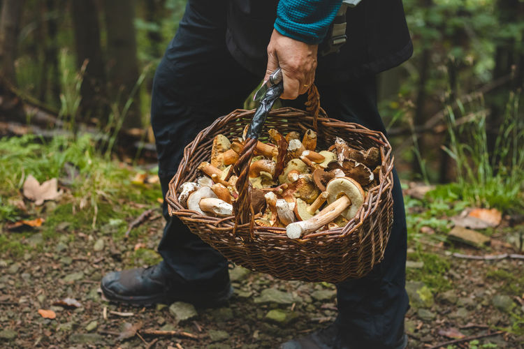 Man in outdoor clothing holds a basket full of mushrooms