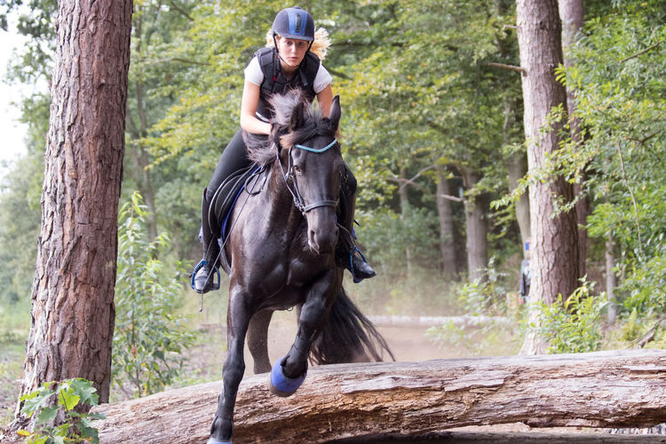 Jockey riding horse against trees in forest during training