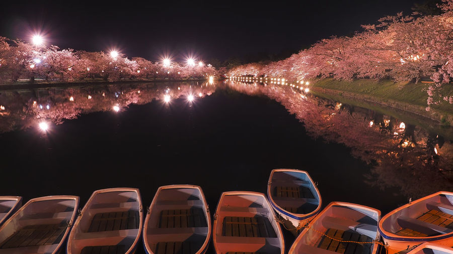 High angle view of illuminated cherry blossoms  by japanese castle ruins at night