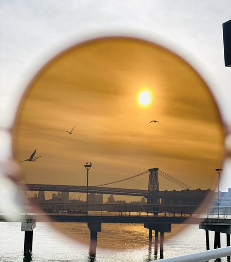 Birds flying over bridge and sea during sunset seen through sunglasses