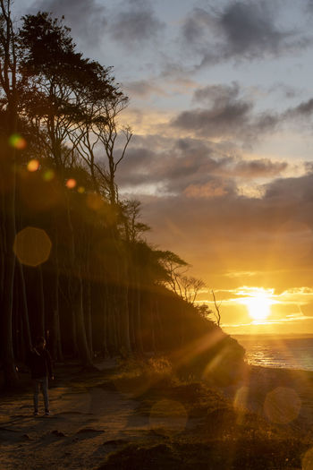 Scenic view of trees in geisterwald against sky during sunset over baltic sea coast at nienhagen.