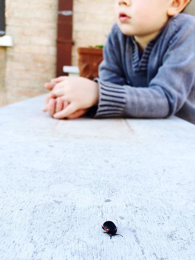 Close-up of boy sitting at table with insect in foreground