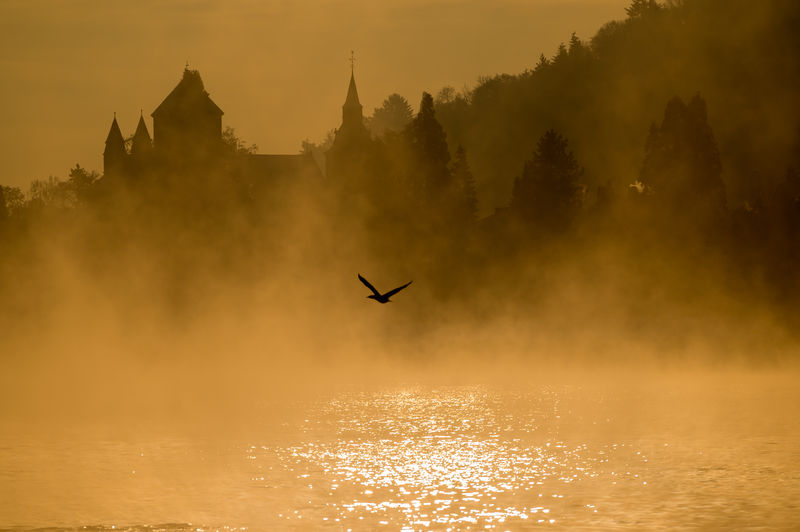 A bird is outlined against the mist and golden sunset with a castle in the back