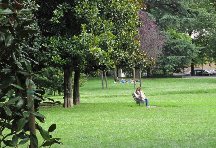 Cat sitting on grassy field