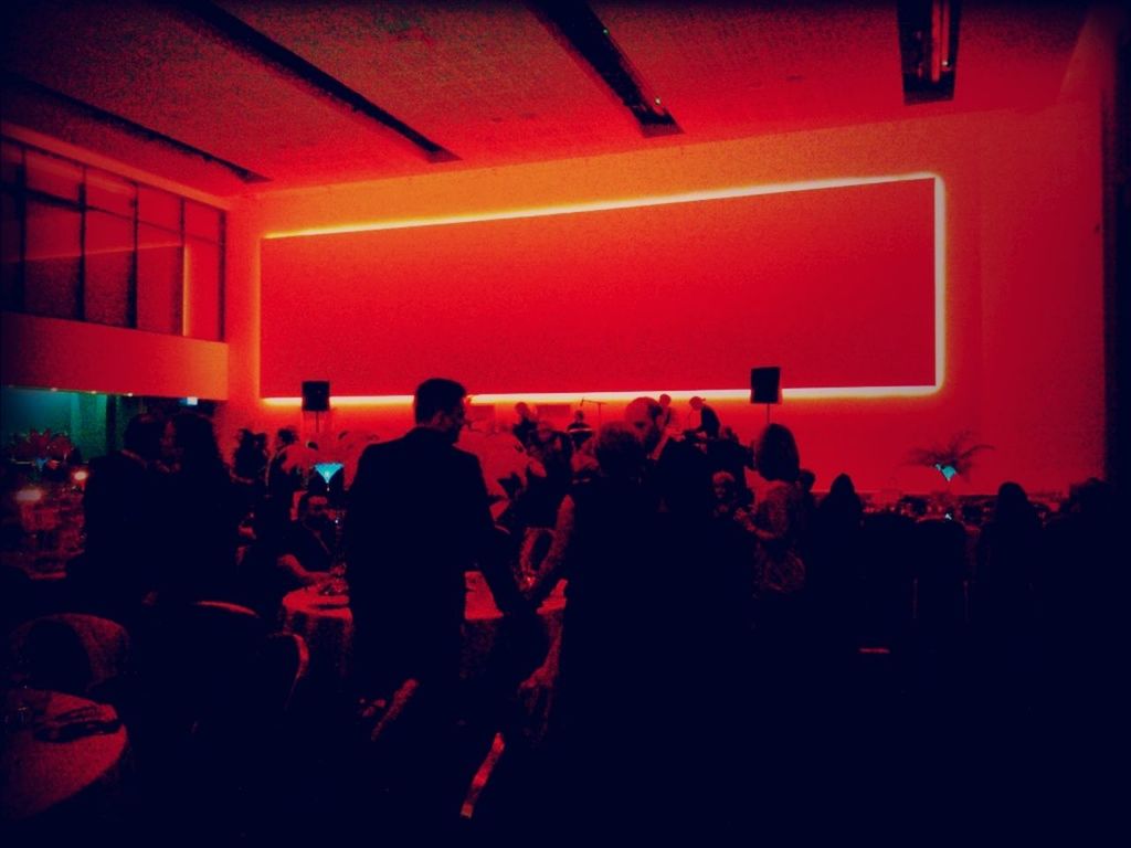 indoors, lifestyles, men, illuminated, person, large group of people, leisure activity, standing, night, dark, red, crowd, arts culture and entertainment, rear view, togetherness, silhouette, built structure, light - natural phenomenon